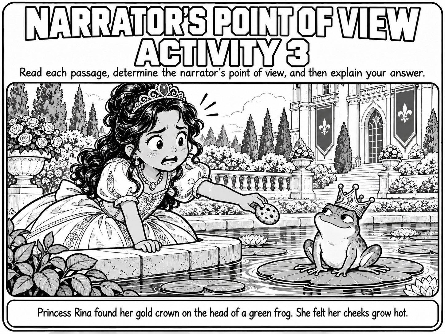 Narrator's Point of View Activity 3 preview